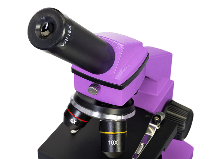 Микроскоп Levenhuk Rainbow 2L PLUS Аметист с набором Levenhuk K50