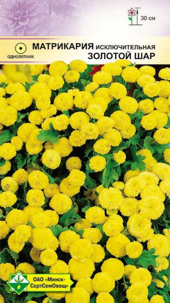 Матрикария исключительная "Золотой шар" 0,1г., Германия. Матрикария исключительная "Золотой шар" 0,1г., Германия.