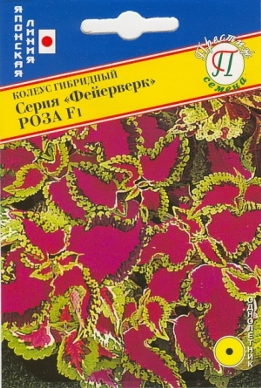 Цв. Колеус Фейерверк Роза 10шт (Престиж)