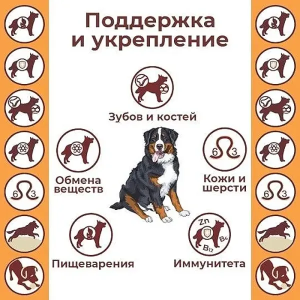 Уценка! Повр.упак. / Сухой корм Дилли для взрослых собак 
