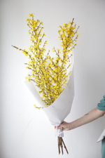 Монобукет Форзиция