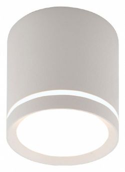 Накладной светильник Denkirs DK401 DK4013-WH