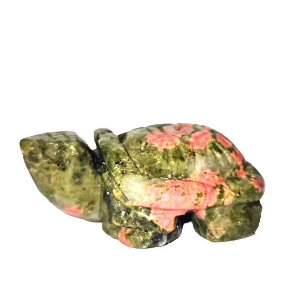 Черепаха унакит асс.