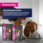Сухой корм Eukanuba для взрослых собак крупных и очень крупных пород старше 1 года с ягненком 3 кг