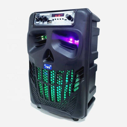 Колонка портативная ND-W66 с микрофоном и пультом