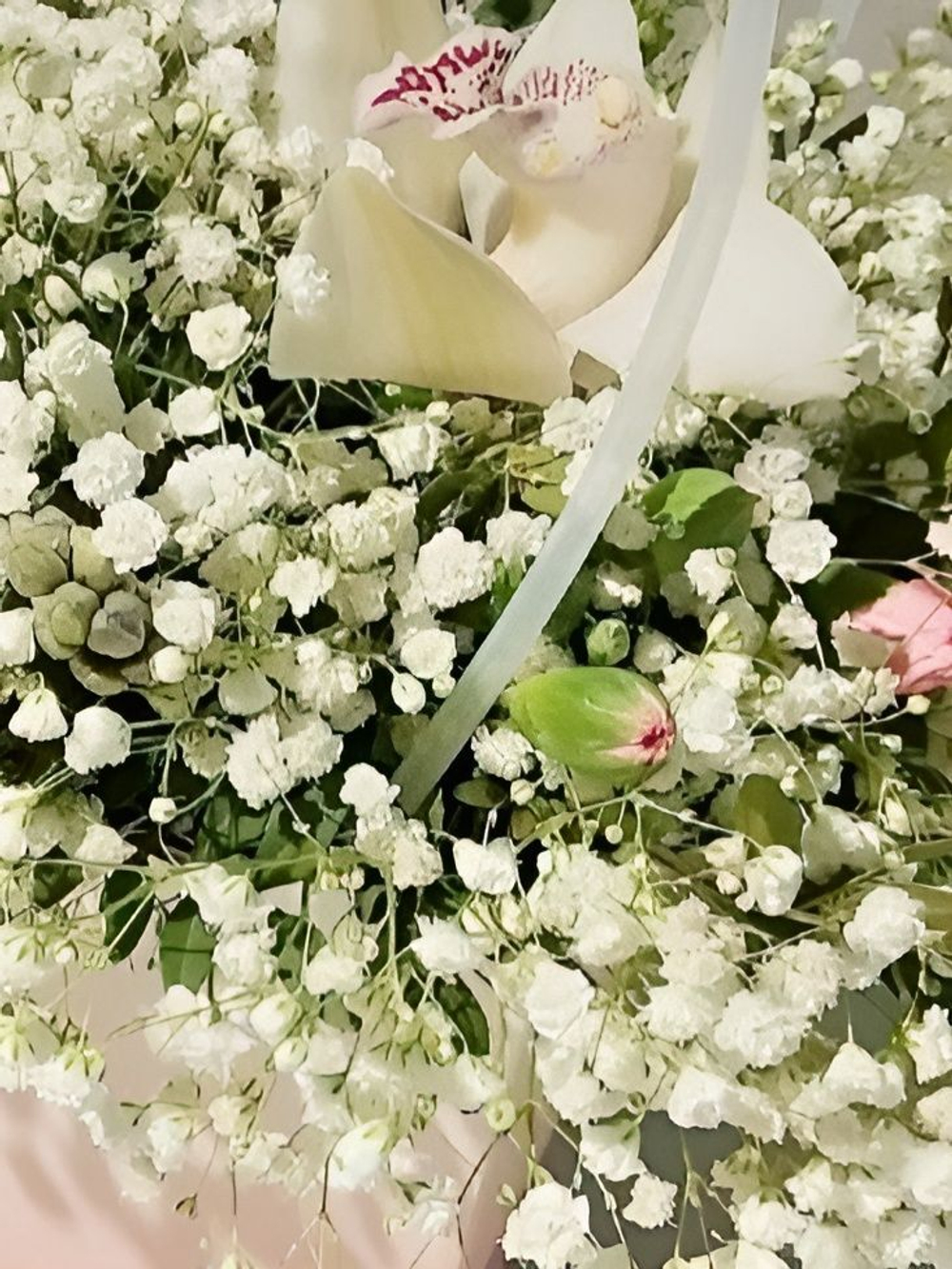 Трендовая гипсофила в разноцветной гамме (КМ0001)