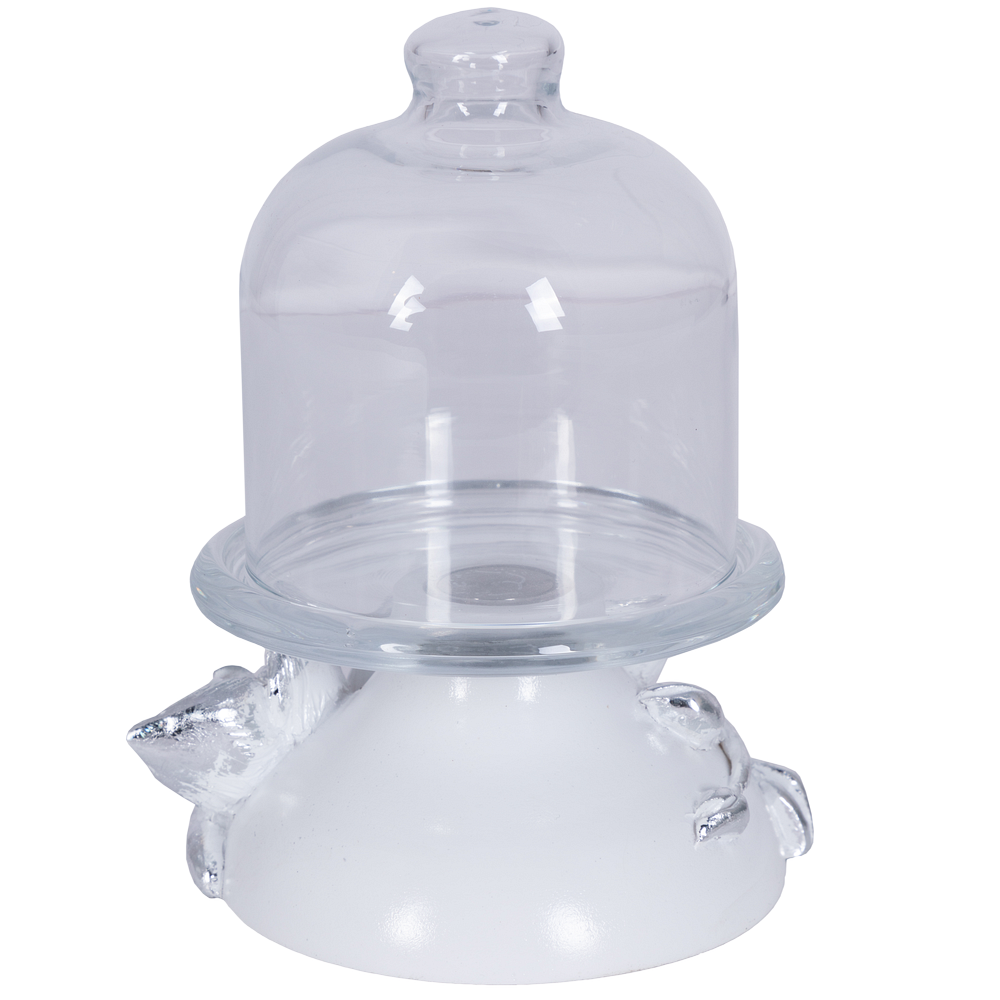 Лимонница Орхидея Лайм Белая