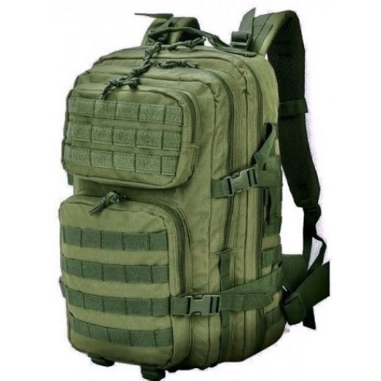 Рюкзак рейдовый "Спецназ" 50 л. (Олива)