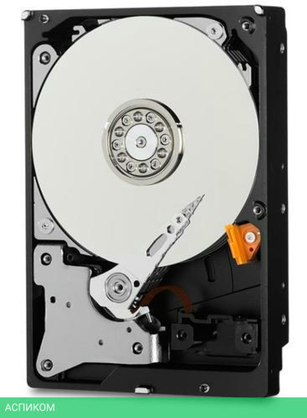 Жесткий диск WD 1TB WD10PURZ