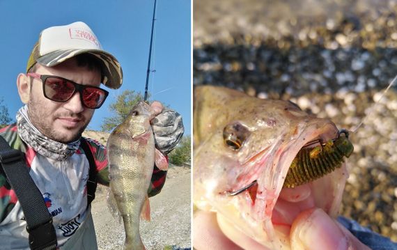 Виброхвосты съедобные LJ Pro Series INSECTOR 2,8in (7 см), цв. PA03, 8 шт.