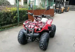 Электроквадроцикл Green Camel Атакама T320 (48V 1000W R8 Дифференциал)