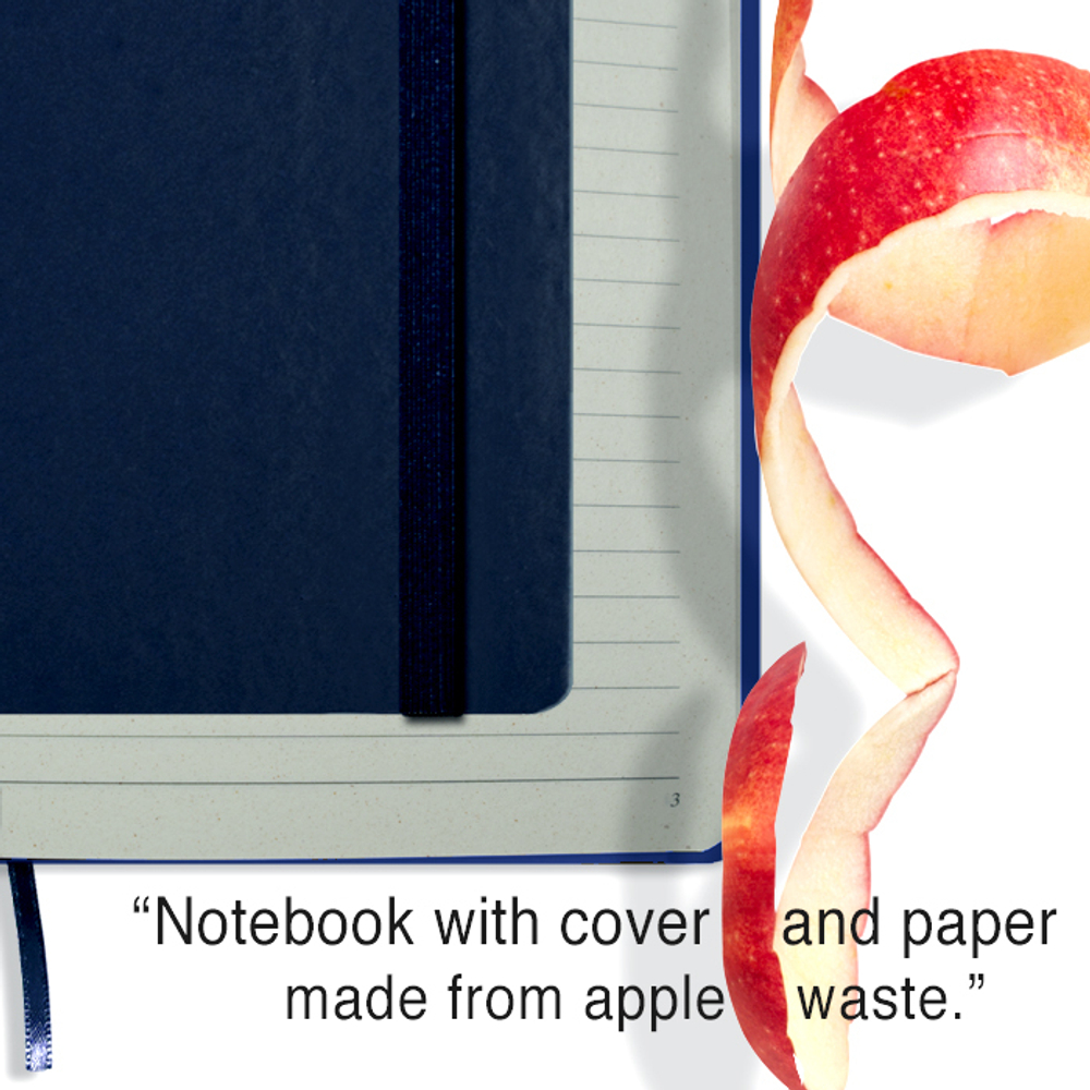 cover and inside of notebook_blU_apple