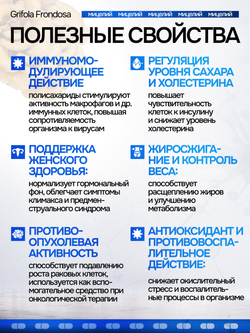 Мейтаке (майтаке) Грифола курчавая. 180 капсул