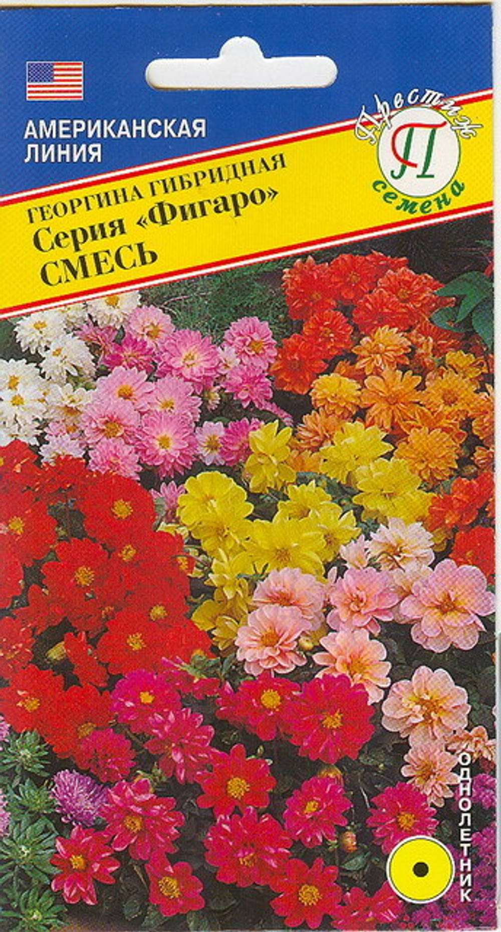 Георгина Фигаро смесь Престиж