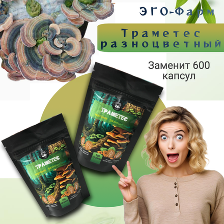 Траметес мицелий 200 грамм (Суперфуд, Trametes versicolor, Turkey Tail)