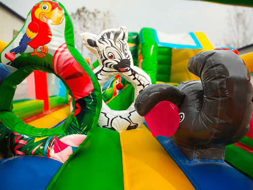 Коммерческий надувной батут «Попугайчики» 6*4*2,8 м