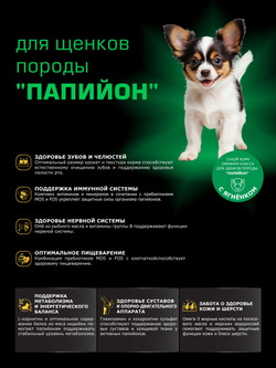 Quattro корм для щенков породы Папийон, с ягненком, 6 кг, QUATTRO