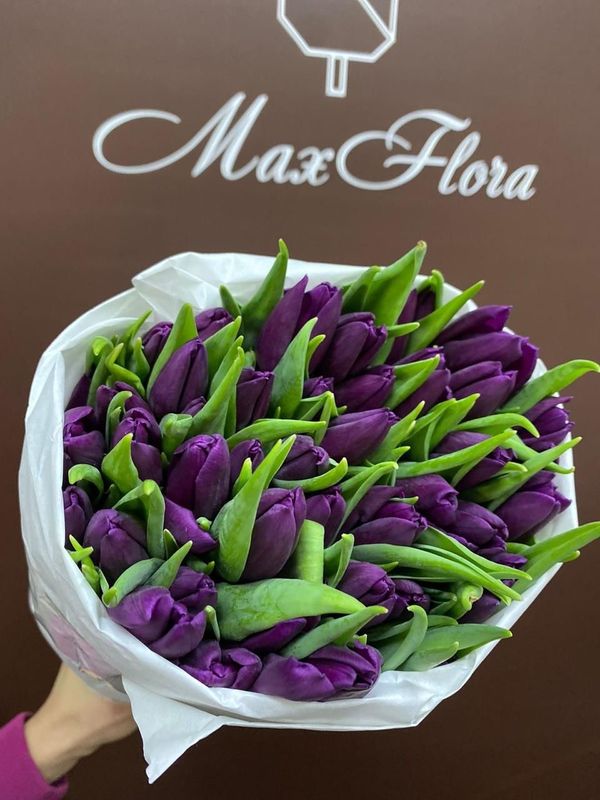 51 Тюльпан 8 Марта М-3