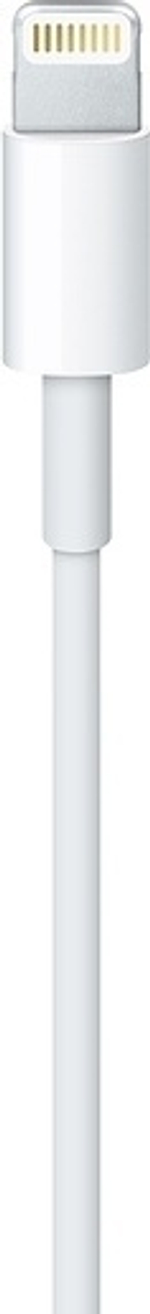 Кабель Apple Lightning (M), USB 2.0 (M) белый