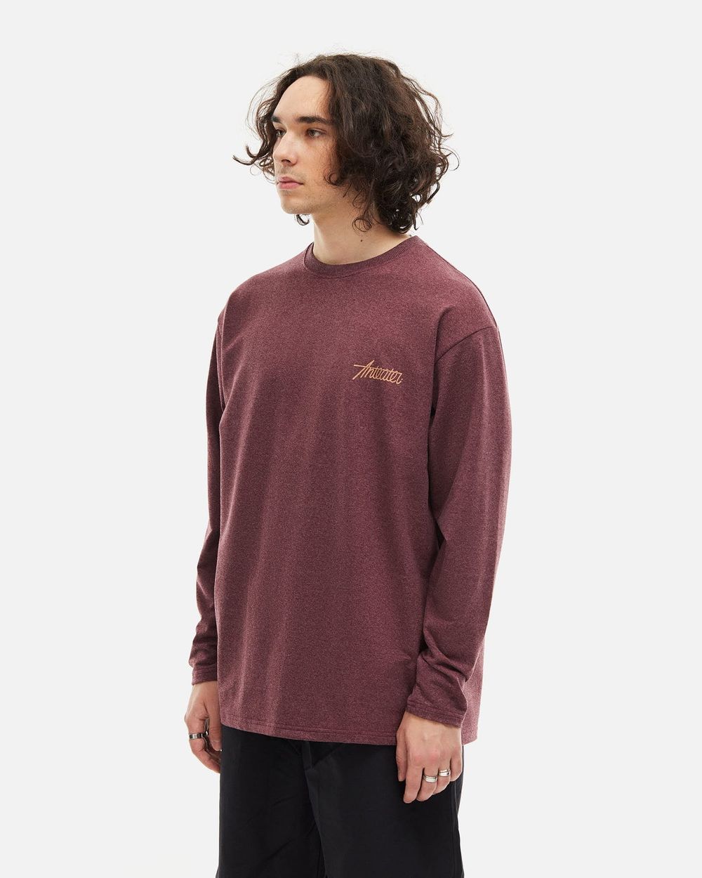 Лонгслив Anteater Phat Long 104 бордовый