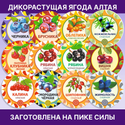 Черника ягода сушеная без сахара