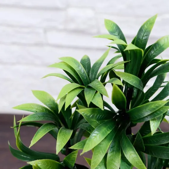 Бонсай в горшке "Деревце яркое" 10х20 см, микс