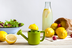 Соковыжималка для лимонов lemoniere