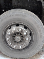 Shacman (Shaanxi) SX* 8x4 Самосвал SX331863366 (Дизельный, 12,5 л, 544 л.с., МТ)