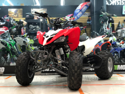 MOTOLAND ATV 250S (2021)