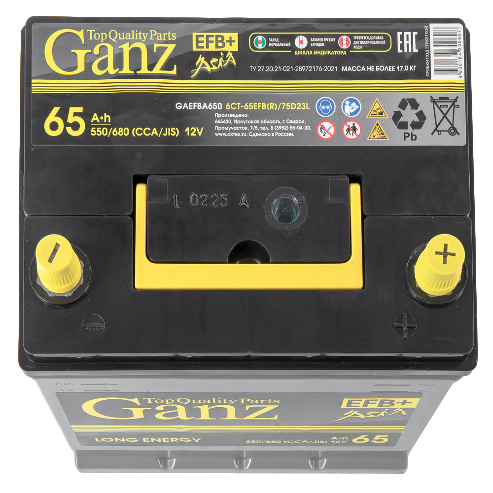 Аккумулятор GANZ ASIA EFB 65 А/ч обратный R+ 232x175x225 D23 EN 550 А