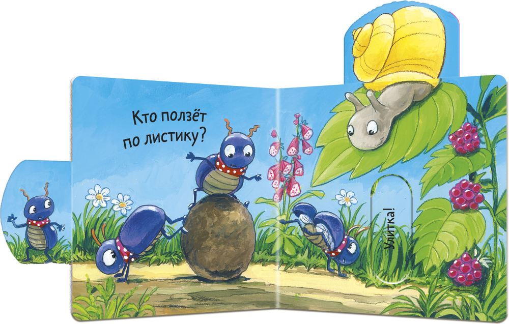 Вжух! Кто живёт на лугу?