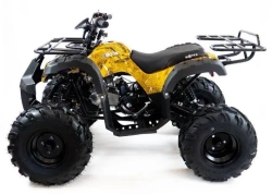 Квадроцикл MOTAX ATV Grizlik 7 110 cc