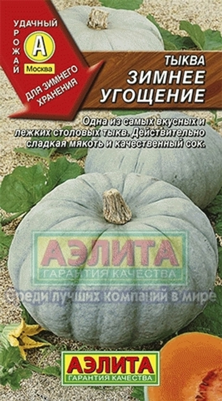 Тыква Зимнее угощение Аэлита