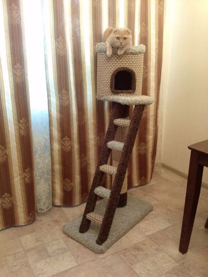 Дом для котят Н-3