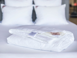 Одеяло шелковое легкое 160х220 German Grass Luxury Silk