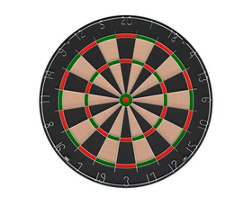 Мишень для дартса DFC SISAL*