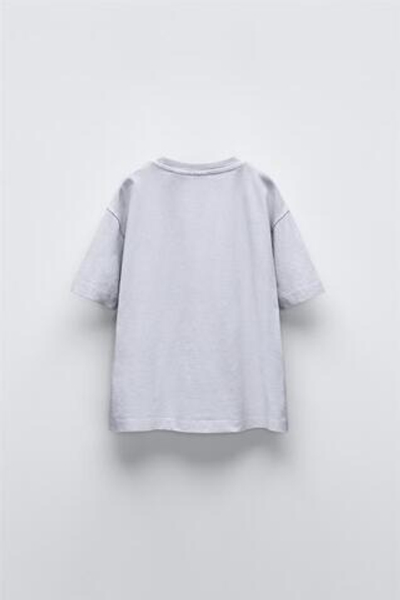 ZARA ФУТБОЛКА С ПРИНТОМ, СВЕТЛО-СЕРЫЙ
