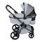 Коляска ANEX l/type 2 в 1 (lt-10t) frost + Аксесcуары
