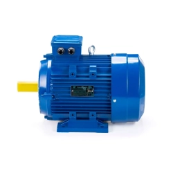 Электродвигатель ESQ 100 LB2-SDN- 4/3000 IMB34
