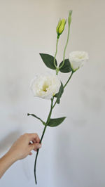 Эустома / Арт 2329