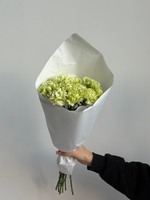 Охапка диантусов в зеленом оттенке 10 шт