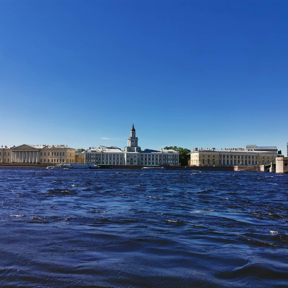 Грифон