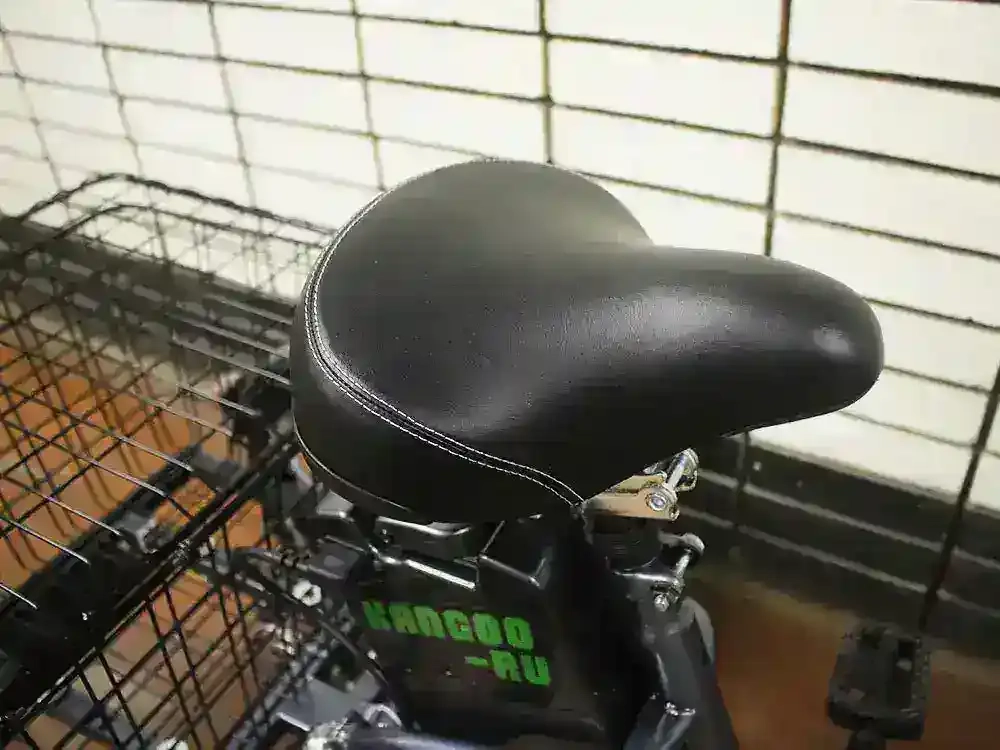 Трехколесный электровелосипед E-motions KANGOO-RU 700