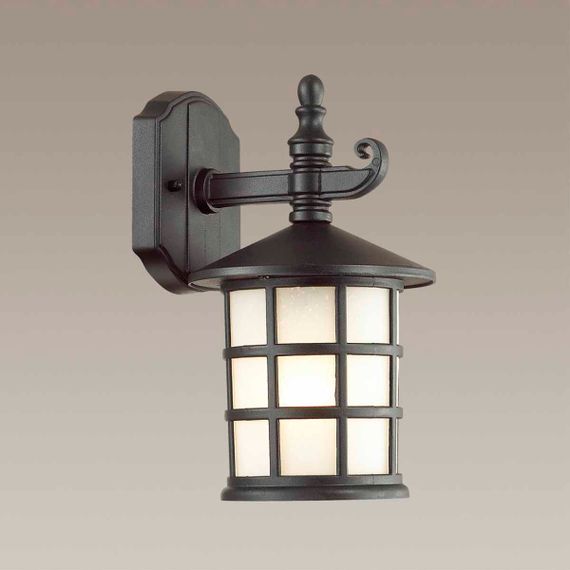 Уличный настенный светильник Odeon Light Nature House 4042/1W