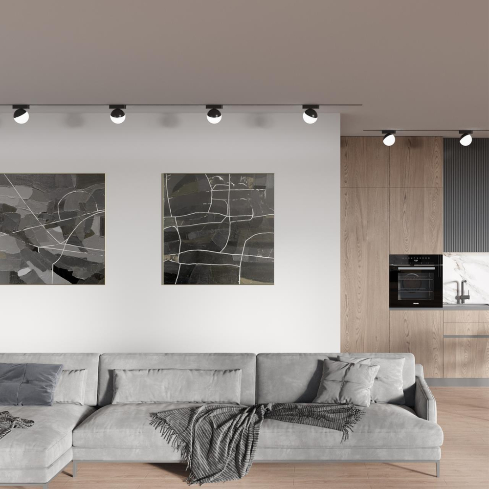 359262 SHINO NT23 189 черный Трековый светильник для низковольтного шинопровода IP20 LED 10W 48V 800Лм 3000К SMAL