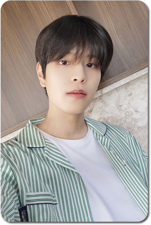 Карта / STRAY KIDS #0536