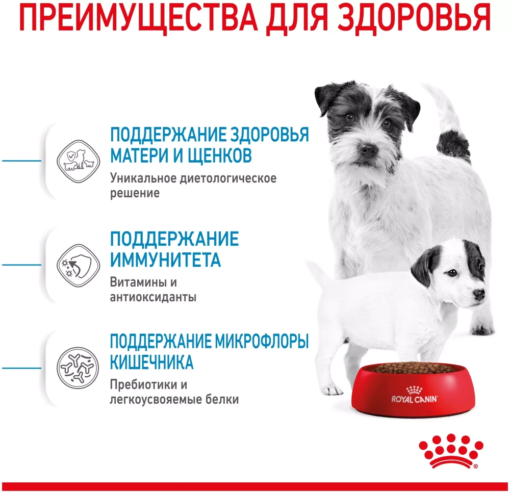 Royal Canin Mini Starter Сухой корм Роял Канин для щенков до 2 месяцев и матерей мини пород, 1 кг