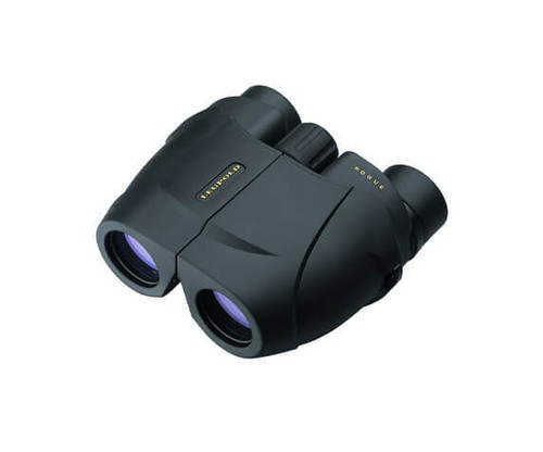 Бинокль Leupold BX-1 Rogue 10x25 Compact Porro, черный