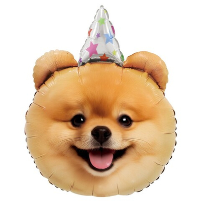 Фольгированный шар-фигура «Собачка в колпачке», 71 см