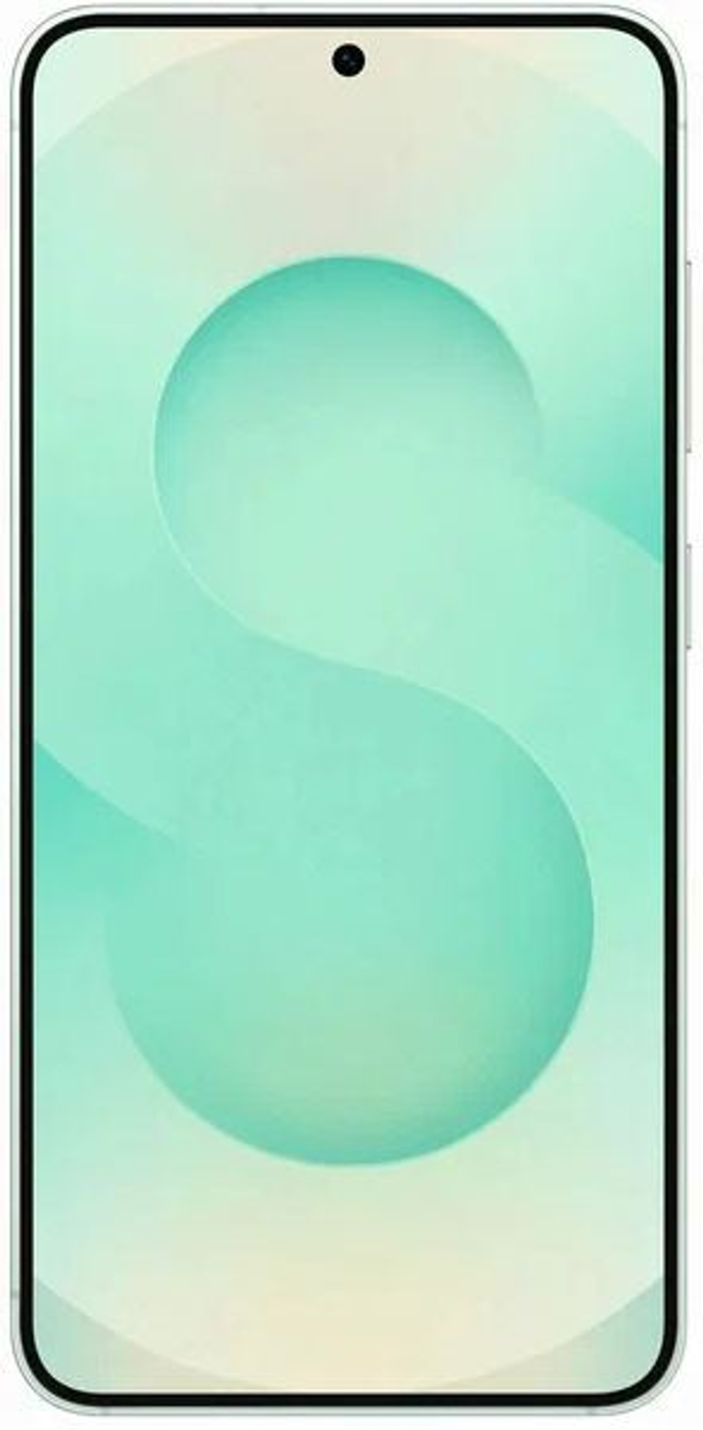 Смартфон  Samsung Galaxy S25 5G 12/512GB